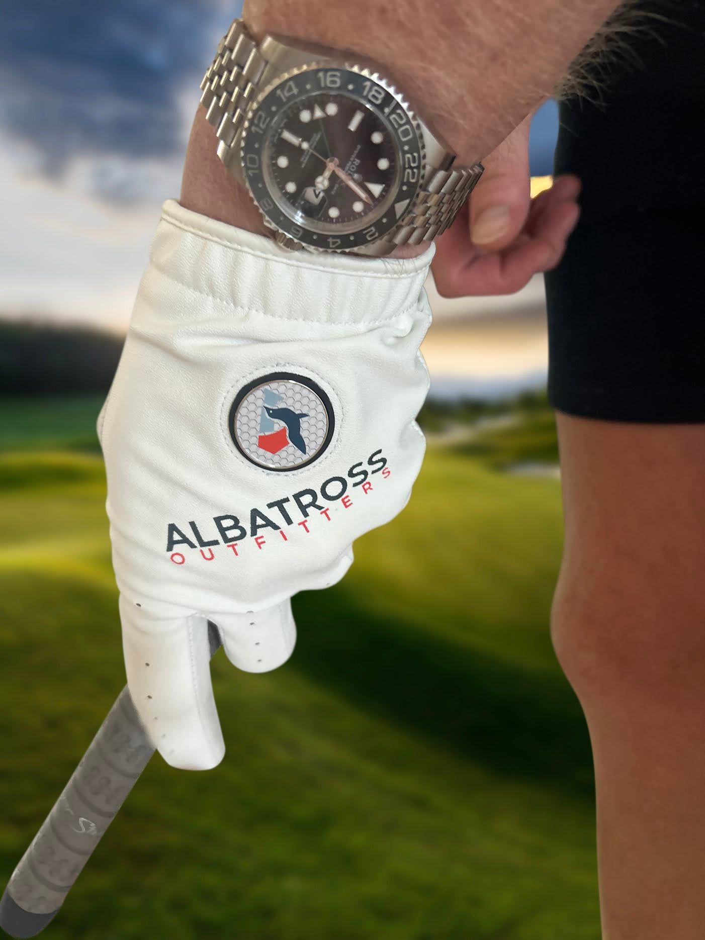 The Albatross Aero